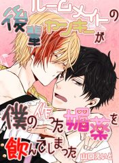 s289cdjbv03564pl – Minh