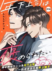 817pFufB02L._SL1500_